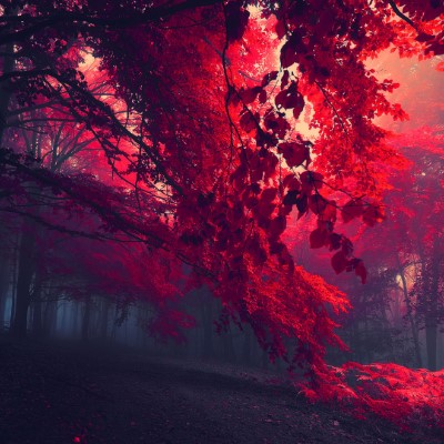 1920 x 1080 HD Wallpapers 1655